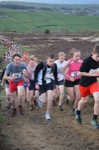 Click on thumbnail for larger photo